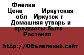 Фиалка Rosie Ruffles › Цена ­ 160 - Иркутская обл., Иркутск г. Домашняя утварь и предметы быта » Растения   